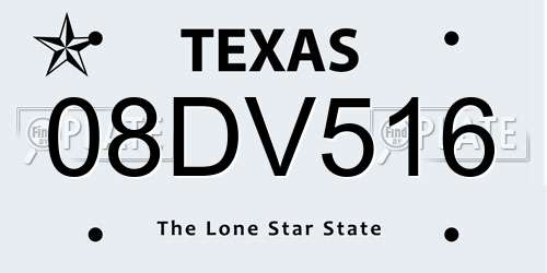 08DV516 Texas License Plate