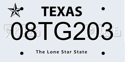 08TG203 Texas License Plate