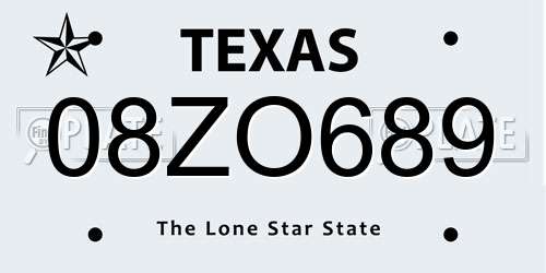 08ZO689 Texas License Plate