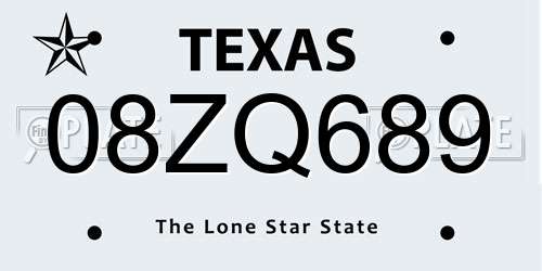 08ZQ689 Texas License Plate