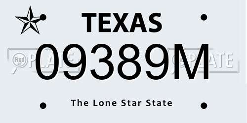 09389M Texas License Plate