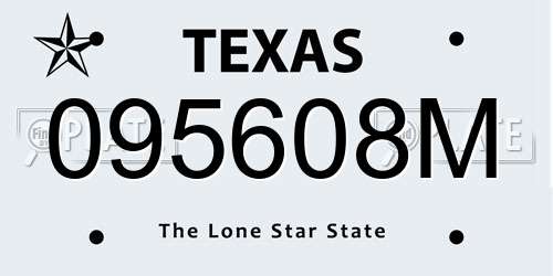 095608M Texas License Plate