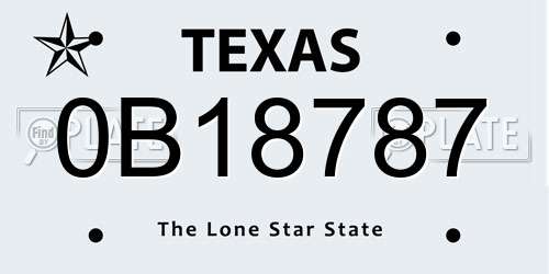 0B18787 Texas License Plate