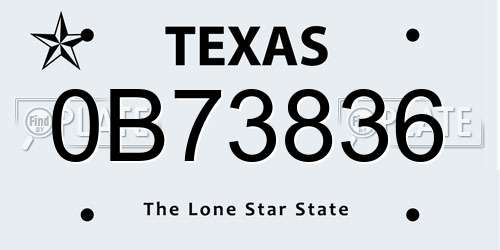 0B73836 Texas License Plate