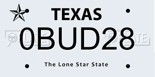 0BUD28 Texas License Plate