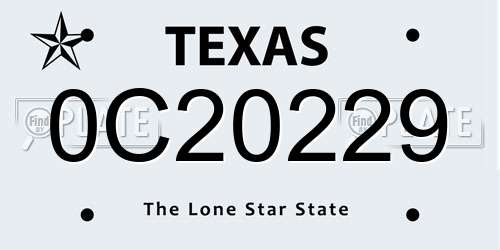 0C20229 Texas License Plate