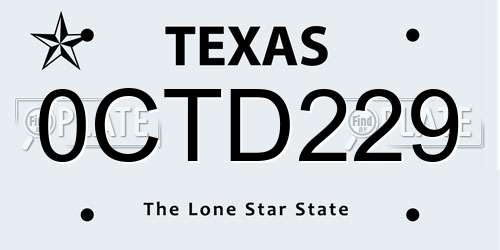 0CTD229 Texas License Plate