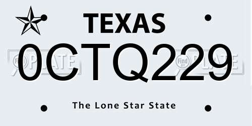 0CTQ229 Texas License Plate