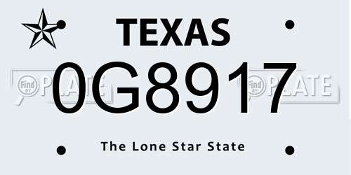0G8917 Texas License Plate
