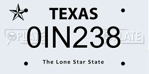 0IN238 Texas License Plate