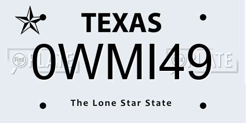 0WMI49 Texas License Plate