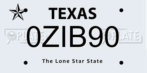 0ZIB90 Texas License Plate