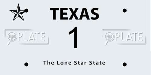 1 Texas License Plate