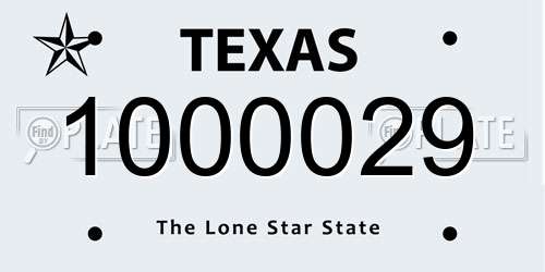 1000029 Texas License Plate