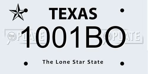 1001BO Texas License Plate