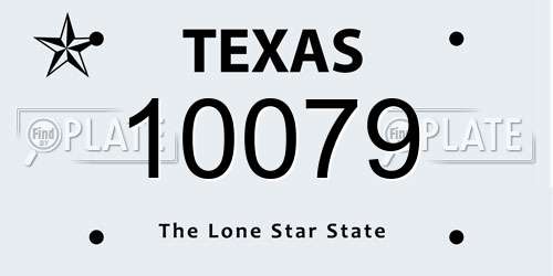 10079 Texas License Plate