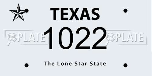 1022 Texas License Plate