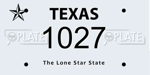 1027 Texas License Plate