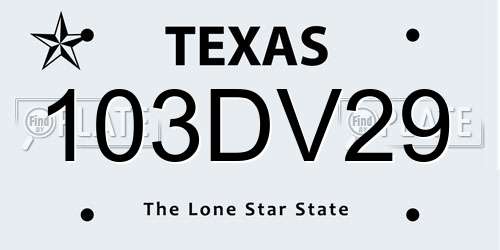 103DV29 Texas License Plate
