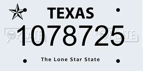 1078725 Texas License Plate