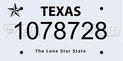 1078728 Texas License Plate