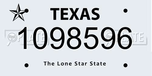 1098596 Texas License Plate