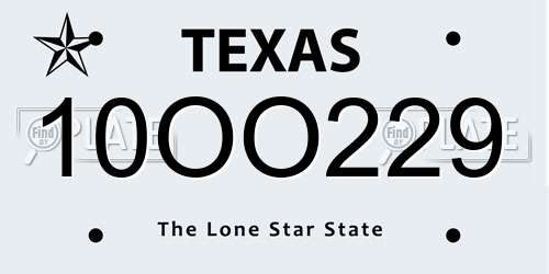 10OO229 Texas License Plate