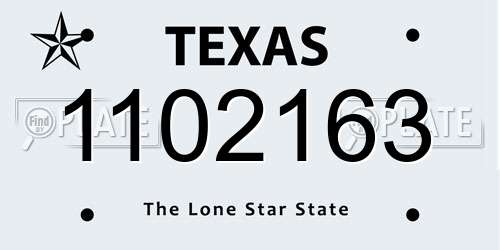 1102163 Texas License Plate