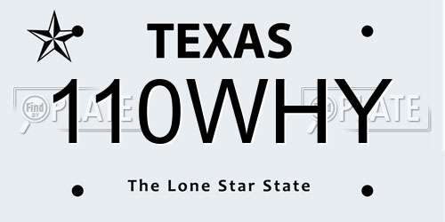 110WHY Texas License Plate
