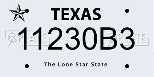 11230B3 Texas License Plate