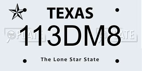 113DM8 Texas License Plate