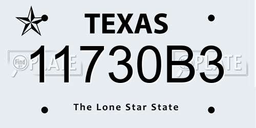 11730B3 Texas License Plate