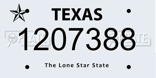1207388 Texas License Plate