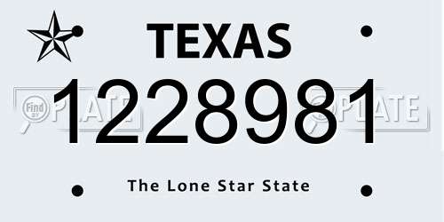 1228981 Texas License Plate