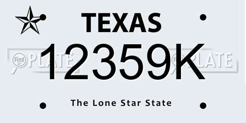 12359K Texas License Plate