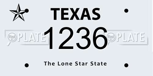 1236 Texas License Plate