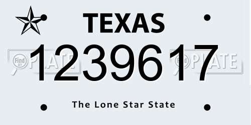 1239617 Texas License Plate