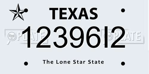 12396I2 Texas License Plate