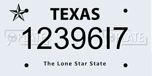 12396I7 Texas License Plate