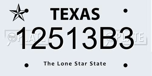 12513B3 Texas License Plate
