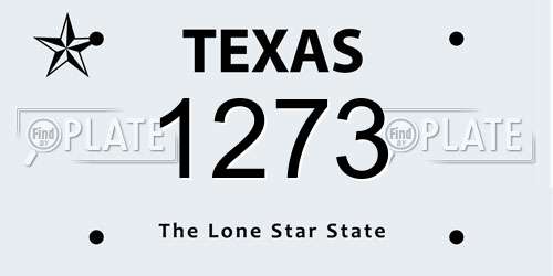 1273 Texas License Plate