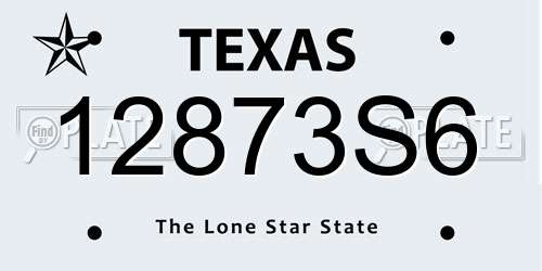 12873S6 Texas License Plate