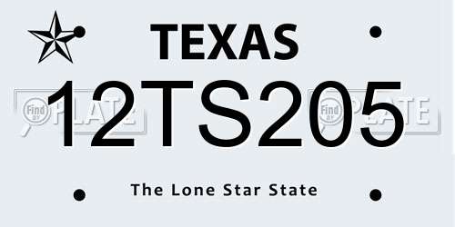 12TS205 Texas License Plate