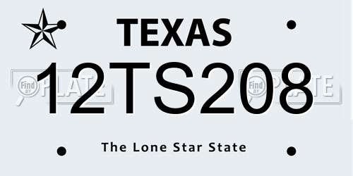 12TS208 Texas License Plate