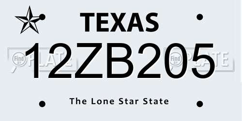 12ZB205 Texas License Plate