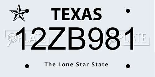 12ZB981 Texas License Plate