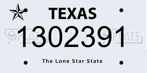 1302391 Texas License Plate