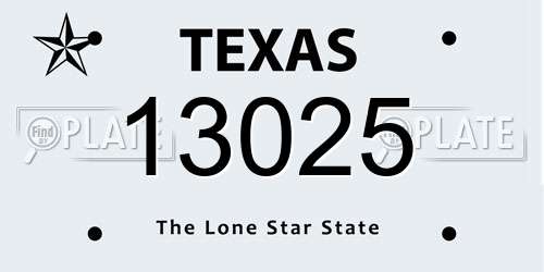 13025 Texas License Plate