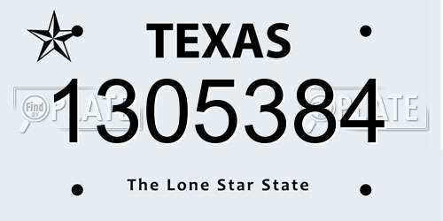 1305384 Texas License Plate