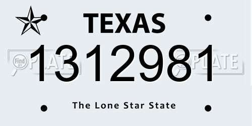 1312981 Texas License Plate
